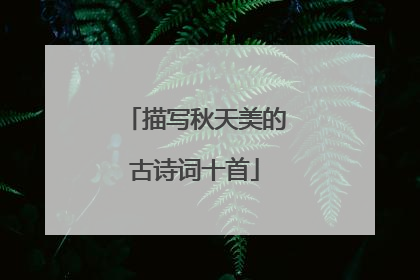 描写秋天美的古诗词十首