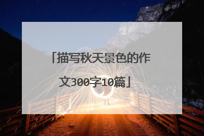 描写秋天景色的作文300字10篇