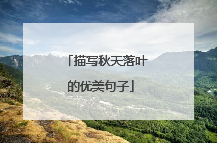 描写秋天落叶的优美句子