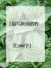 描写秋雨的作文200字
