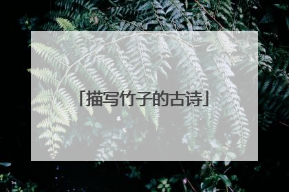 描写竹子的古诗