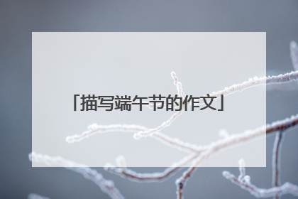 描写端午节的作文