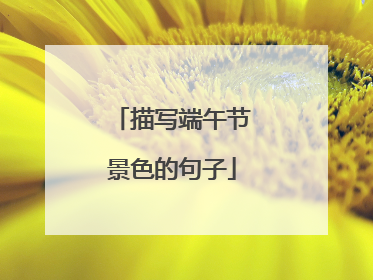 描写端午节景色的句子