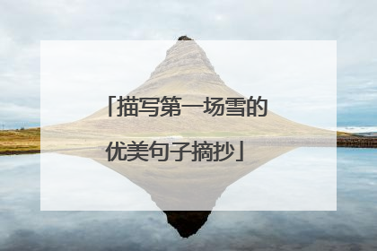 描写第一场雪的优美句子摘抄