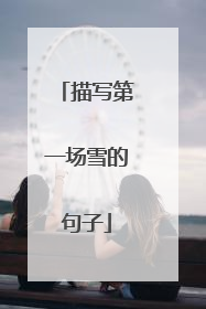 描写第一场雪的句子