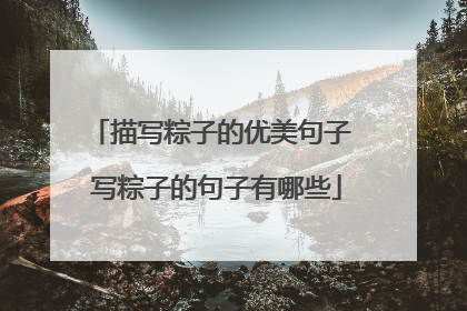 描写粽子的优美句子 写粽子的句子有哪些