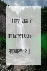 描写粽子的优美段落有哪些?
