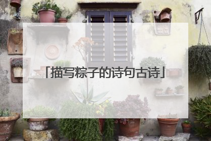 描写粽子的诗句古诗