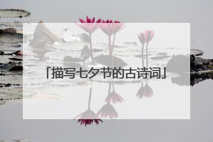 描写七夕节的古诗词