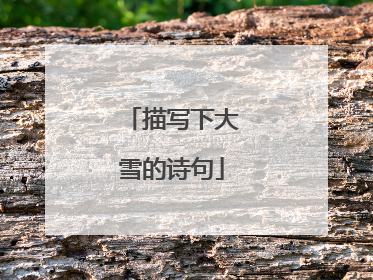 描写下大雪的诗句