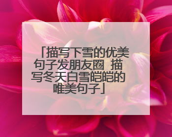 描写下雪的优美句子发朋友圈 描写冬天白雪皑皑的唯美句子