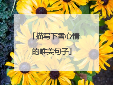描写下雪心情的唯美句子