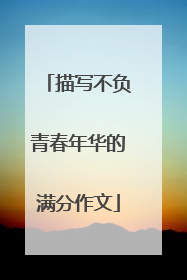 描写不负青春年华的满分作文