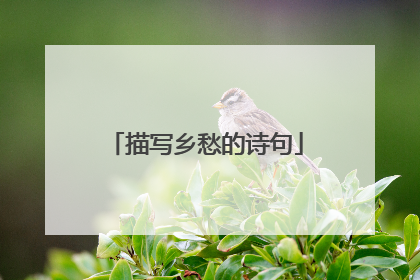 描写乡愁的诗句