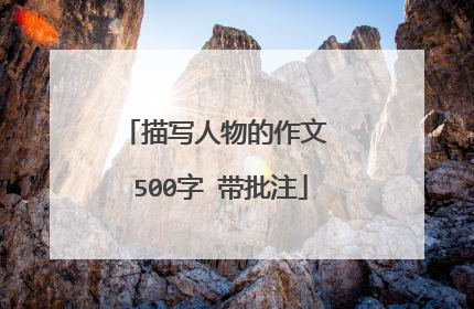 描写人物的作文 500字 带批注