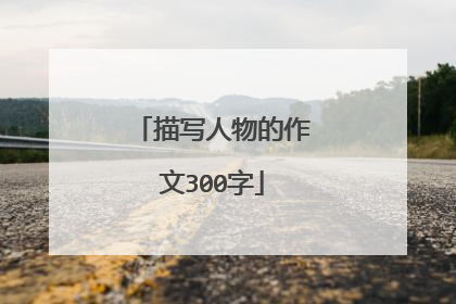 描写人物的作文300字