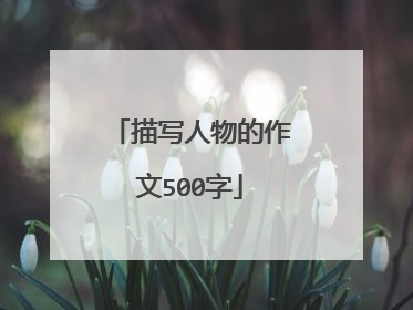 描写人物的作文500字