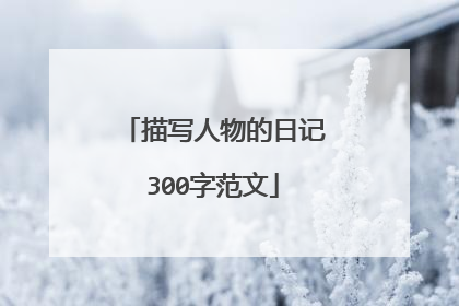 描写人物的日记300字范文