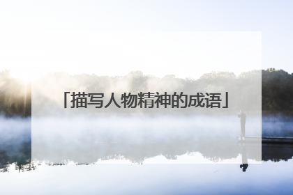 描写人物精神的成语