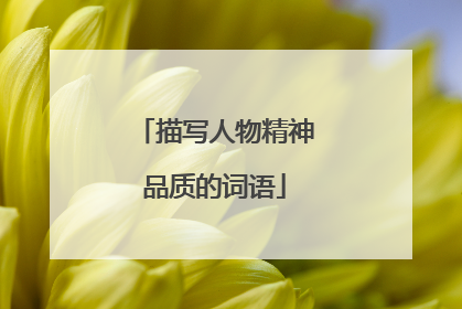 描写人物精神品质的词语