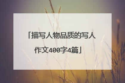 描写人物品质的写人作文400字4篇