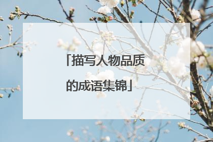 描写人物品质的成语集锦