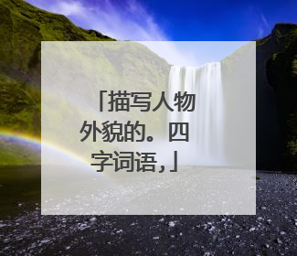 描写人物外貌的。四字词语,