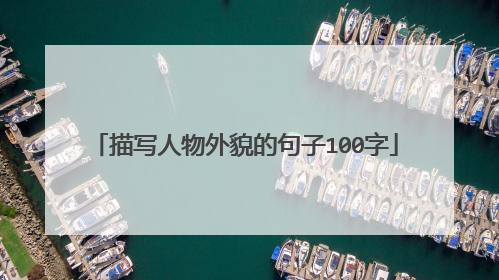 描写人物外貌的句子100字