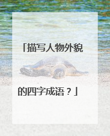 描写人物外貌的四字成语?
