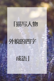 描写人物外貌的四字成语