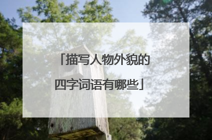 描写人物外貌的四字词语有哪些