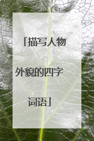 描写人物外貌的四字词语