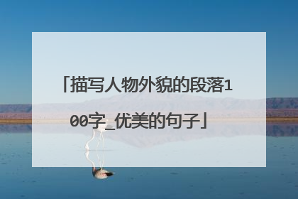 描写人物外貌的段落100字_优美的句子