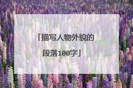 描写人物外貌的段落100字