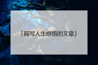 描写人生感悟的文章