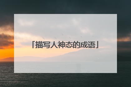 描写人神态的成语