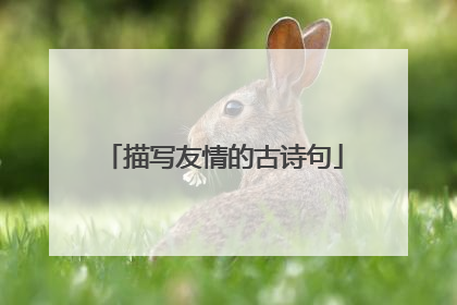 描写友情的古诗句