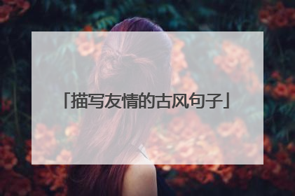 描写友情的古风句子