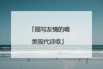 描写友情的唯美现代诗歌
