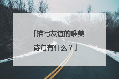 描写友谊的唯美诗句有什么？