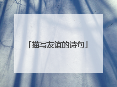 描写友谊的诗句