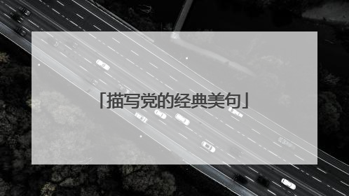描写党的经典美句
