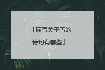 描写关于雪的诗句有哪些
