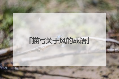 描写关于风的成语