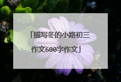 描写冬的小路初三作文600字作文