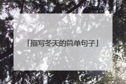 描写冬天的简单句子