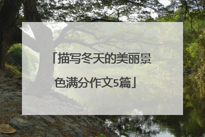 描写冬天的美丽景色满分作文5篇