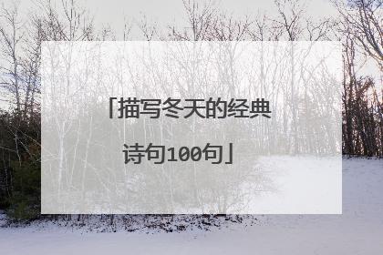 描写冬天的经典诗句100句