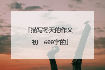 描写冬天的作文  初一600字的
