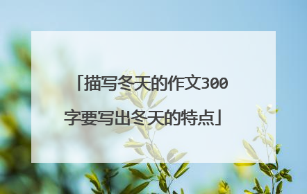描写冬天的作文300字要写出冬天的特点